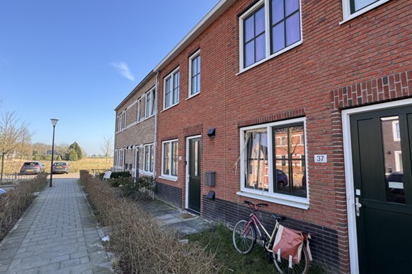 Hofstede 37