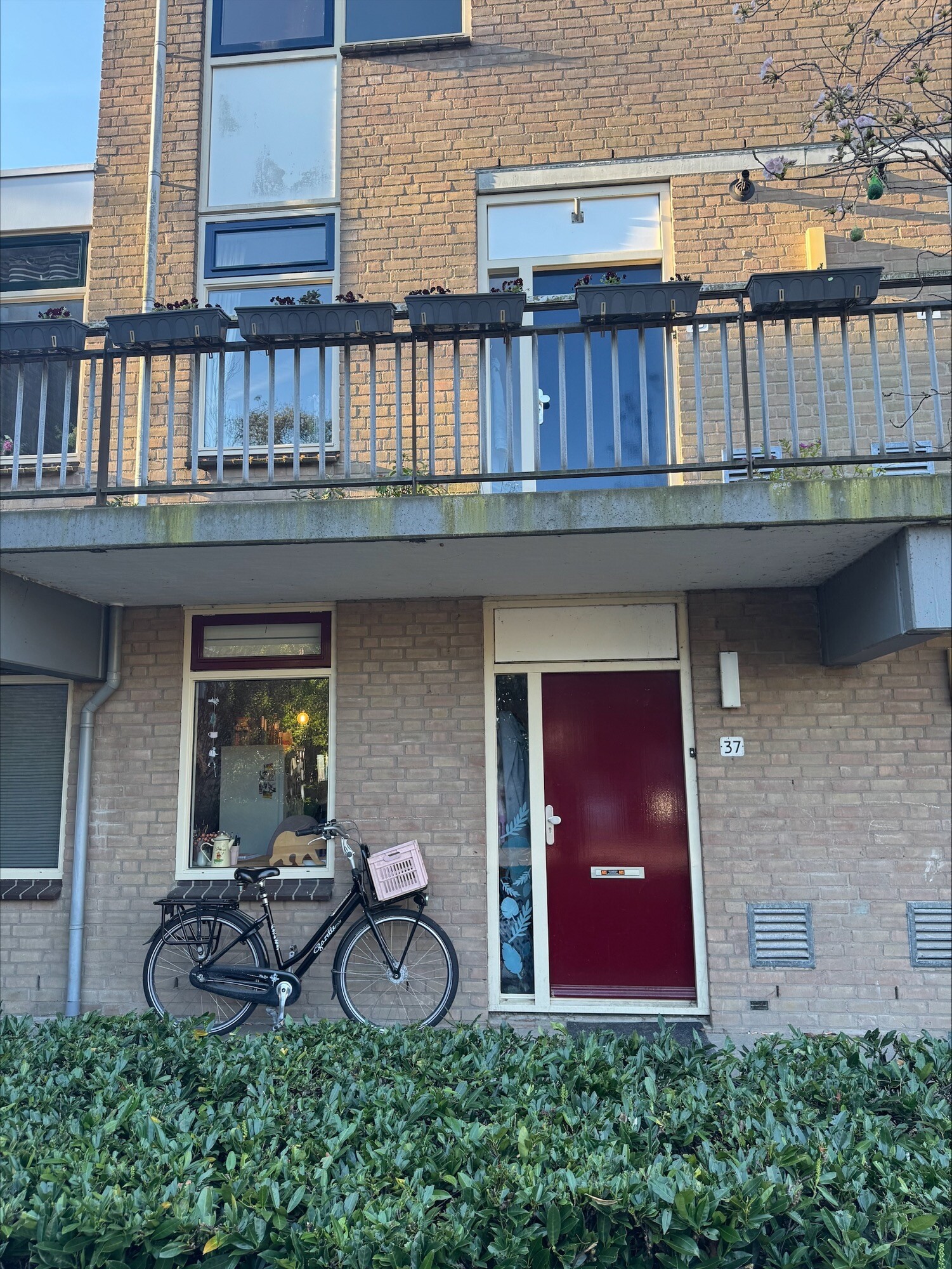 W. Vrijlandtstraat 37