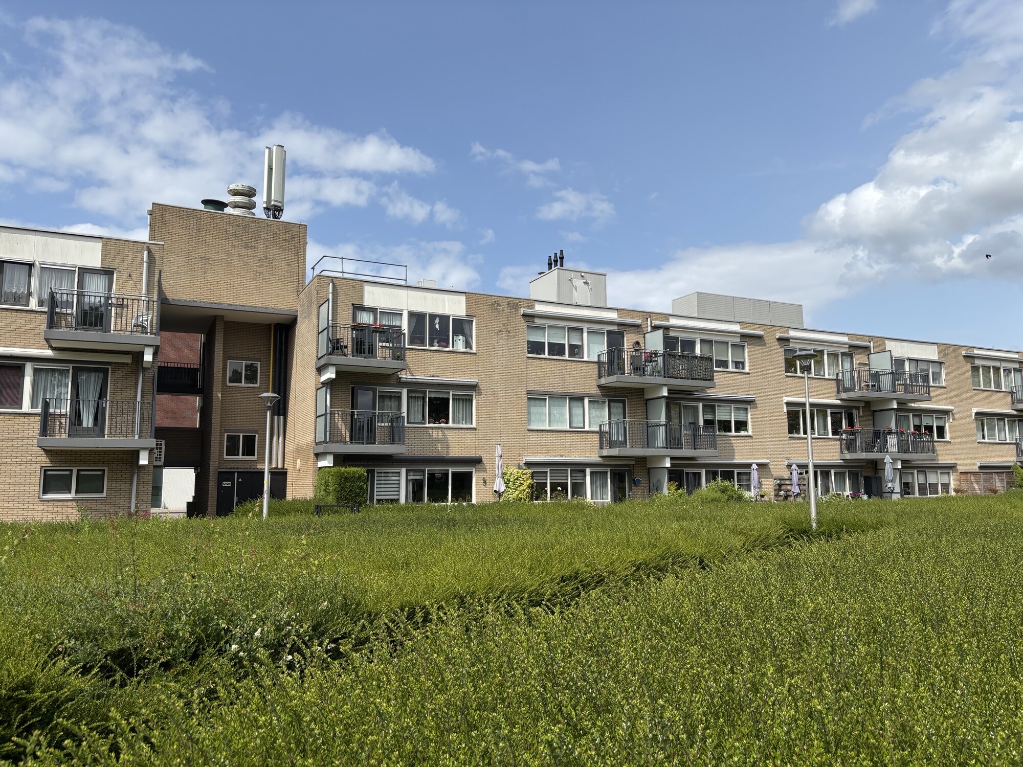 Molenaar 13