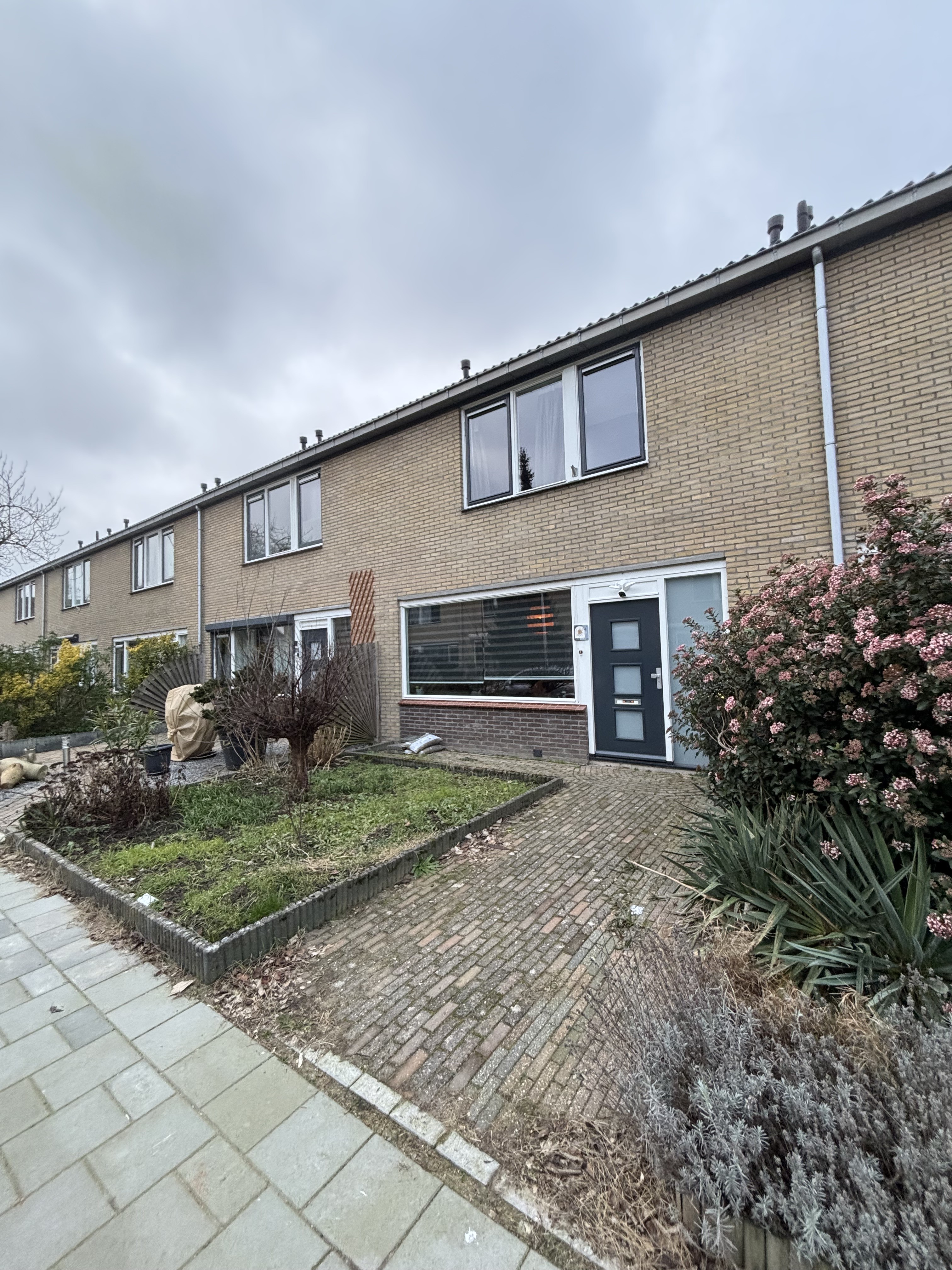 homes for rent on Molenvlietlaan 64